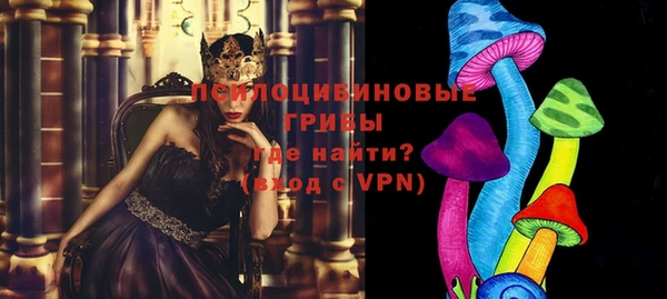 синтетический гашиш Ельня