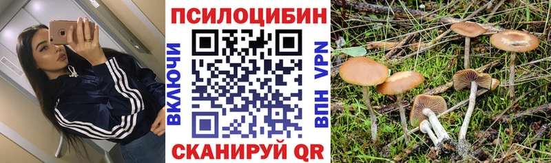 Псилоцибиновые грибы прущие грибы  Купить где  Рассказово 